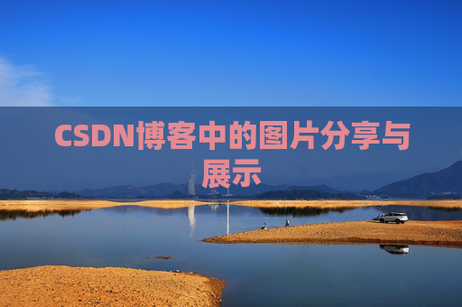 CSDN博客中的图片分享与展示